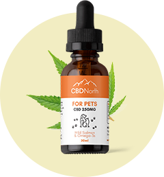 CBD Kits