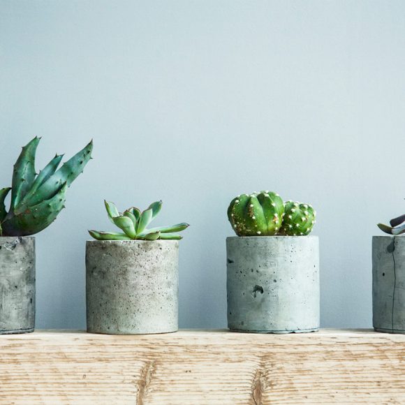 Flower Pot Designs