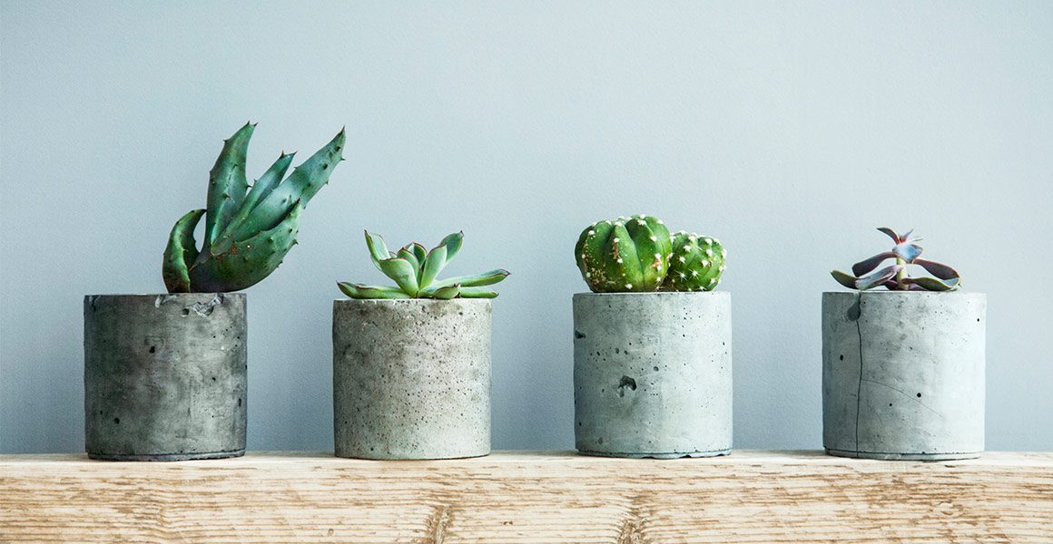 Flower Pot Designs