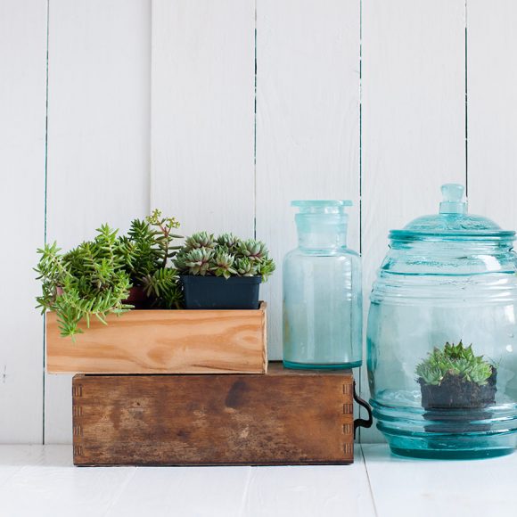 Projects for Your Home