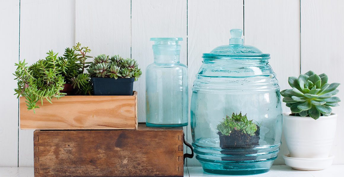 4 Projects for Your Home
