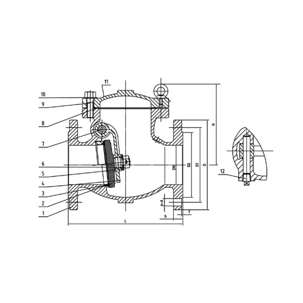 Check Valve