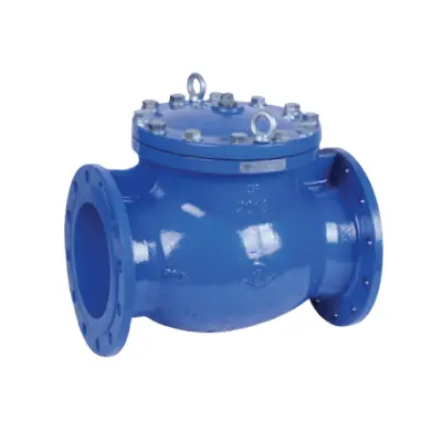 Check Valve