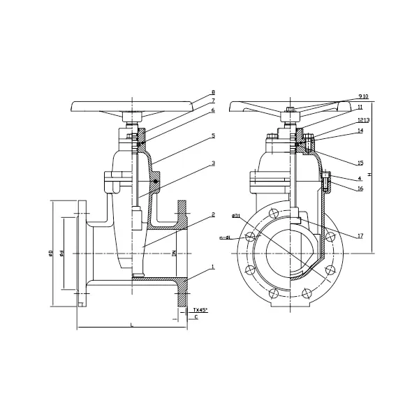 Nrs Gate Valve With Flexible Flange