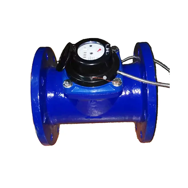 Water Meter