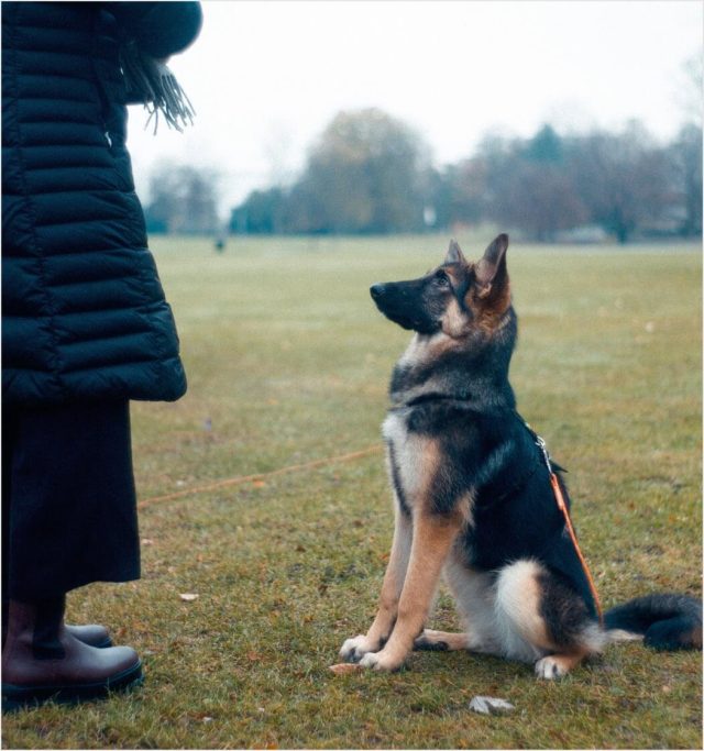 Training - Image 2
