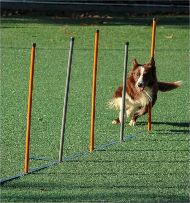 Training - Image 3