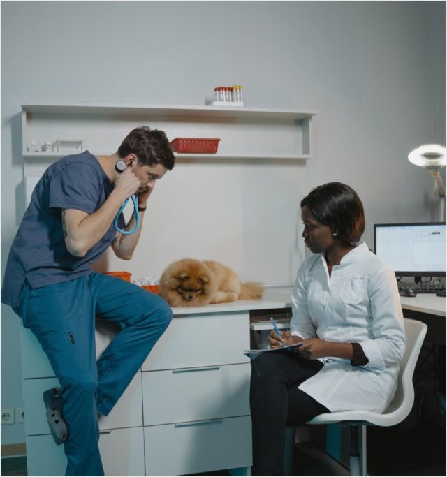 Veterinary - Image 3