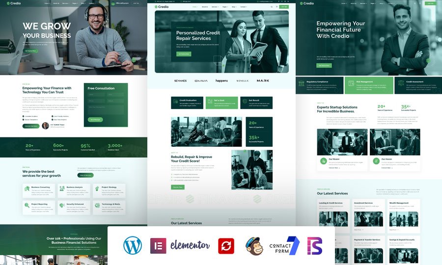 Finance Business and Credit Repair WordPress Theme
