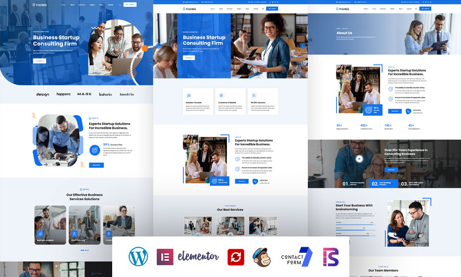 Fronbiz – Business Consulting WordPress Theme