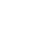 icon-trivia-leaves-white
